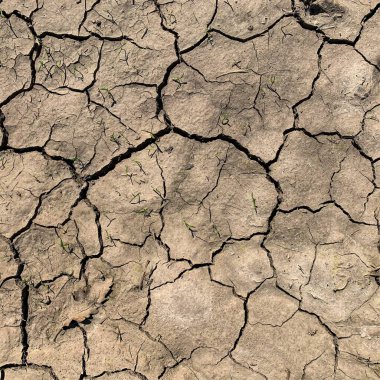 Çatlak yeryüzü arka planı. Toprak yüzeyinde çatlaklar var. Çamur çatlakları.