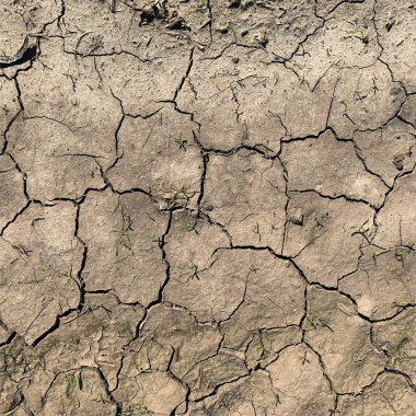 Çatlak yeryüzü arka planı. Toprak yüzeyinde çatlaklar var. Çamur çatlakları.