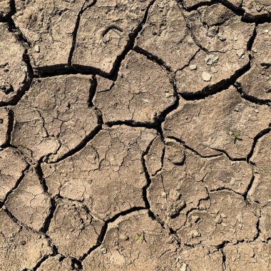 Çatlak yeryüzü arka planı. Toprak yüzeyinde çatlaklar var. Çamur çatlakları.