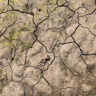 Çatlak yeryüzü arka planı. Toprak yüzeyinde çatlaklar var. Çamur çatlakları.