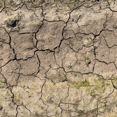 Çatlak yeryüzü arka planı. Toprak yüzeyinde çatlaklar var. Çamur çatlakları.