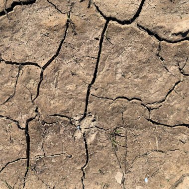 Çatlak yeryüzü arka planı. Toprak yüzeyinde çatlaklar var. Çamur çatlakları.