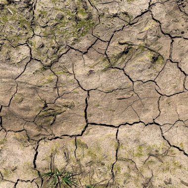 Çatlak yeryüzü arka planı. Toprak yüzeyinde çatlaklar var. Çamur çatlakları.