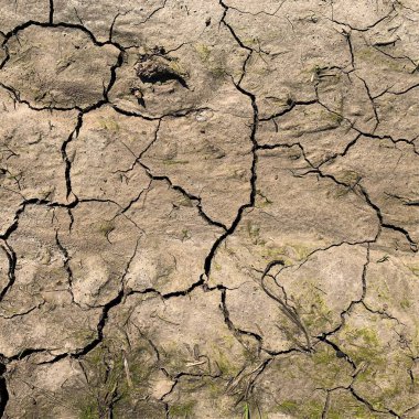 Çatlak yeryüzü arka planı. Toprak yüzeyinde çatlaklar var. Çamur çatlakları.