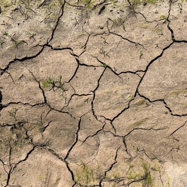 Çatlak yeryüzü arka planı. Toprak yüzeyinde çatlaklar var. Çamur çatlakları.
