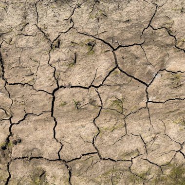 Çatlak yeryüzü arka planı. Toprak yüzeyinde çatlaklar var. Çamur çatlakları.
