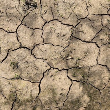 Çatlak yeryüzü arka planı. Toprak yüzeyinde çatlaklar var. Çamur çatlakları.