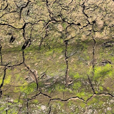 Çatlak yeryüzü arka planı. Toprak yüzeyinde çatlaklar var. Çamur çatlakları.