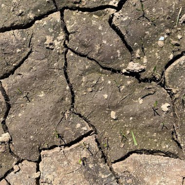 Çatlak yeryüzü arka planı. Toprak yüzeyinde çatlaklar var. Çamur çatlakları.