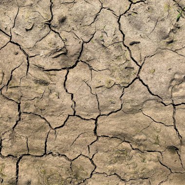 Çatlak yeryüzü arka planı. Toprak yüzeyinde çatlaklar var. Çamur çatlakları.