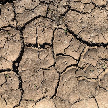 Çatlak yeryüzü arka planı. Toprak yüzeyinde çatlaklar var. Çamur çatlakları.