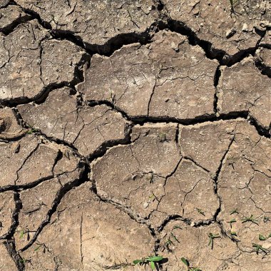 Çatlak yeryüzü arka planı. Toprak yüzeyinde çatlaklar var. Çamur çatlakları.