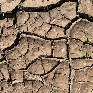 Çatlak yeryüzü arka planı. Toprak yüzeyinde çatlaklar var. Çamur çatlakları.