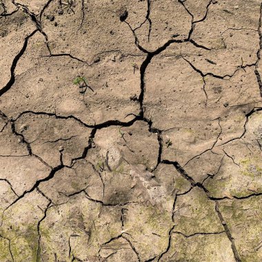 Çatlak yeryüzü arka planı. Toprak yüzeyinde çatlaklar var. Çamur çatlakları.