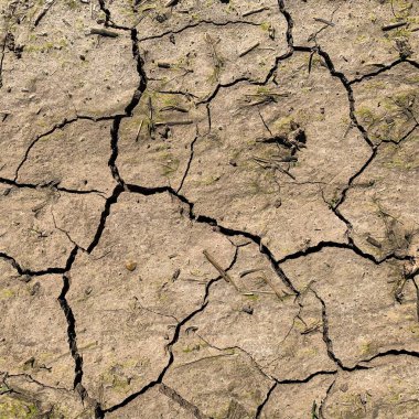 Çatlak yeryüzü arka planı. Toprak yüzeyinde çatlaklar var. Çamur çatlakları.