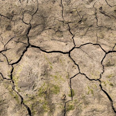 Çatlak yeryüzü arka planı. Toprak yüzeyinde çatlaklar var. Çamur çatlakları.