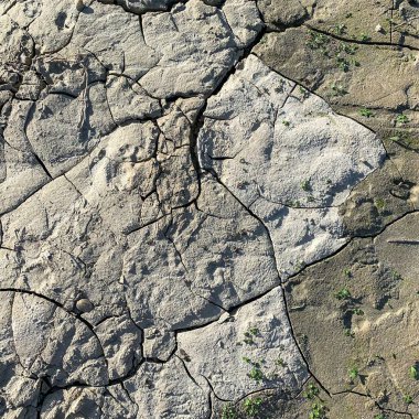 Çatlak yeryüzü arka planı. Toprak yüzeyinde çatlaklar var. Çamur çatlakları.