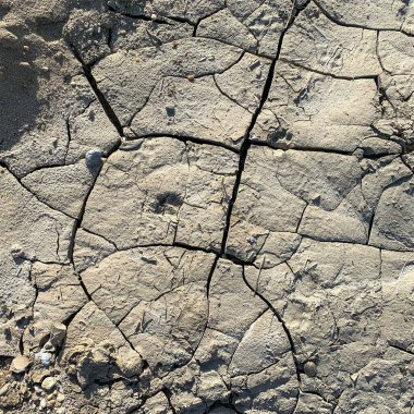 Çatlak yeryüzü arka planı. Toprak yüzeyinde çatlaklar var. Çamur çatlakları.