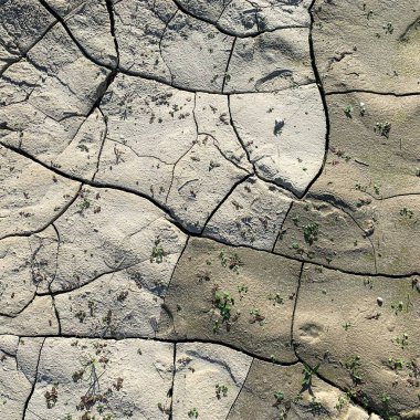 Çatlak yeryüzü arka planı. Toprak yüzeyinde çatlaklar var. Çamur çatlakları.