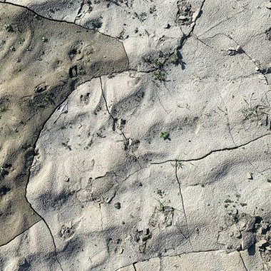 Çatlak yeryüzü arka planı. Toprak yüzeyinde çatlaklar var. Çamur çatlakları.