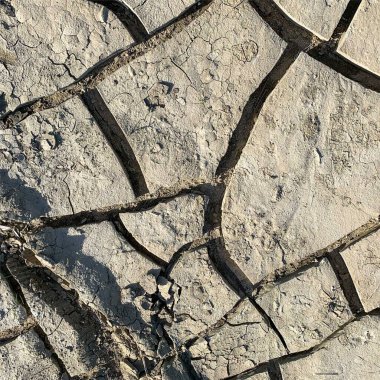 Çatlak yeryüzü arka planı. Toprak yüzeyinde çatlaklar var. Çamur çatlakları.