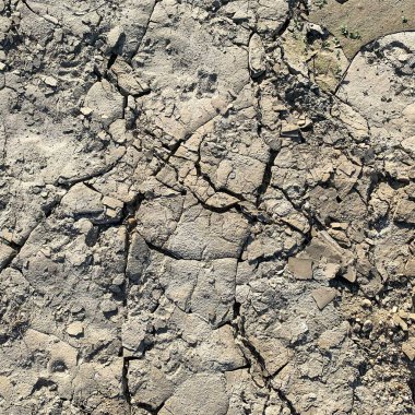 Çatlak yeryüzü arka planı. Toprak yüzeyinde çatlaklar var. Çamur çatlakları.