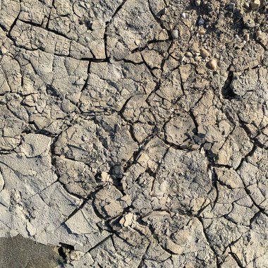Çatlak yeryüzü arka planı. Toprak yüzeyinde çatlaklar var. Çamur çatlakları.