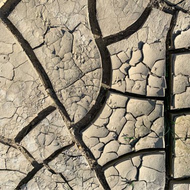 Çatlak yeryüzü arka planı. Toprak yüzeyinde çatlaklar var. Çamur çatlakları.