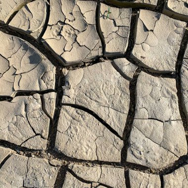 Çatlak yeryüzü arka planı. Toprak yüzeyinde çatlaklar var. Çamur çatlakları.
