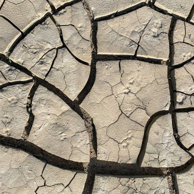 Çatlak yeryüzü arka planı. Toprak yüzeyinde çatlaklar var. Çamur çatlakları.