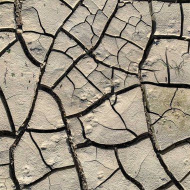 Çatlak yeryüzü arka planı. Toprak yüzeyinde çatlaklar var. Çamur çatlakları.