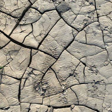 Çatlak yeryüzü arka planı. Toprak yüzeyinde çatlaklar var. Çamur çatlakları.
