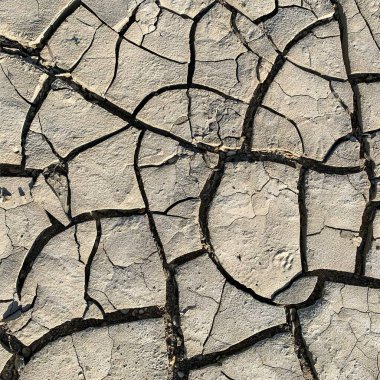 Çatlak yeryüzü arka planı. Toprak yüzeyinde çatlaklar var. Çamur çatlakları.