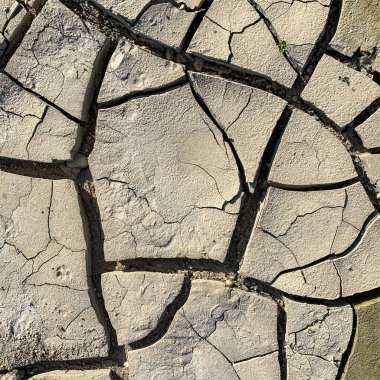 Çatlak yeryüzü arka planı. Toprak yüzeyinde çatlaklar var. Çamur çatlakları.