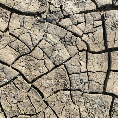 Çatlak yeryüzü arka planı. Toprak yüzeyinde çatlaklar var. Çamur çatlakları.