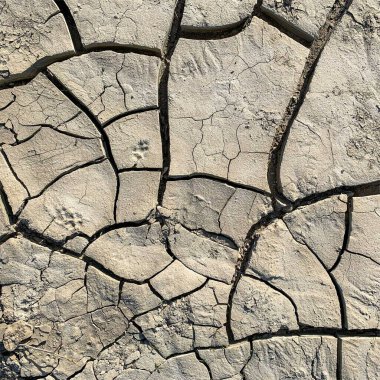 Çatlak yeryüzü arka planı. Toprak yüzeyinde çatlaklar var. Çamur çatlakları.