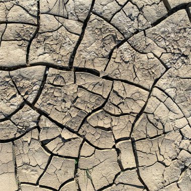 Çatlak yeryüzü arka planı. Toprak yüzeyinde çatlaklar var. Çamur çatlakları.