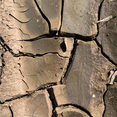 Çatlak yeryüzü arka planı. Toprak yüzeyinde çatlaklar var. Çamur çatlakları.