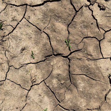 Çatlak yeryüzü arka planı. Toprak yüzeyinde çatlaklar var. Çamur çatlakları.