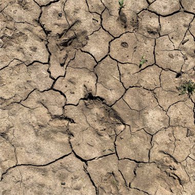 Çatlak yeryüzü arka planı. Toprak yüzeyinde çatlaklar var. Çamur çatlakları.