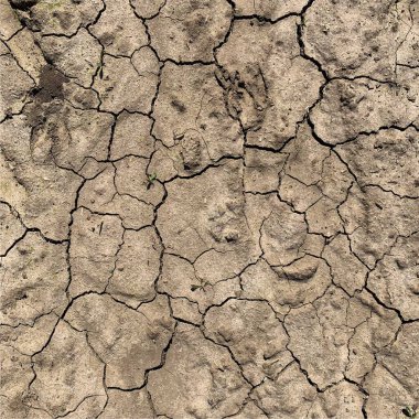 Çatlak yeryüzü arka planı. Toprak yüzeyinde çatlaklar var. Çamur çatlakları.