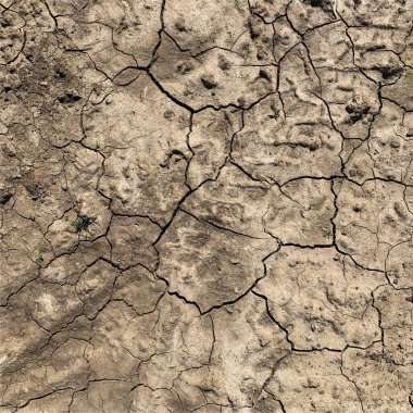 Çatlak yeryüzü arka planı. Toprak yüzeyinde çatlaklar var. Çamur çatlakları.