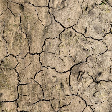 Çatlak yeryüzü arka planı. Toprak yüzeyinde çatlaklar var. Çamur çatlakları.