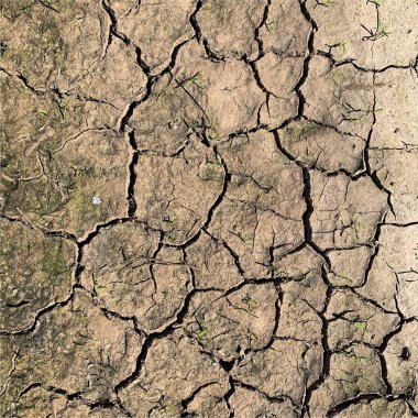 Çatlak yeryüzü arka planı. Toprak yüzeyinde çatlaklar var. Çamur çatlakları.