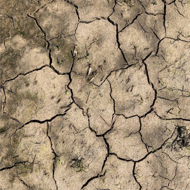 Çatlak yeryüzü arka planı. Toprak yüzeyinde çatlaklar var. Çamur çatlakları.