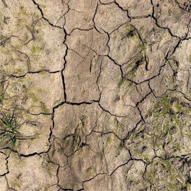 Çatlak yeryüzü arka planı. Toprak yüzeyinde çatlaklar var. Çamur çatlakları.
