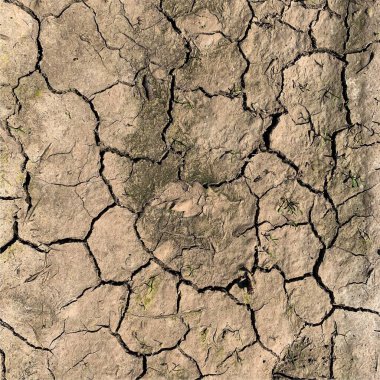 Çatlak yeryüzü arka planı. Toprak yüzeyinde çatlaklar var. Çamur çatlakları.