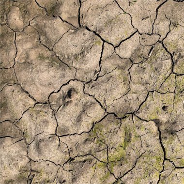 Çatlak yeryüzü arka planı. Toprak yüzeyinde çatlaklar var. Çamur çatlakları.