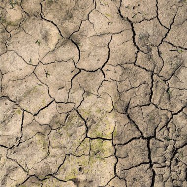 Çatlak yeryüzü arka planı. Toprak yüzeyinde çatlaklar var. Çamur çatlakları.