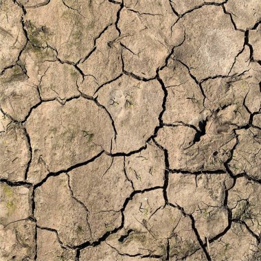 Çatlak yeryüzü arka planı. Toprak yüzeyinde çatlaklar var. Çamur çatlakları.